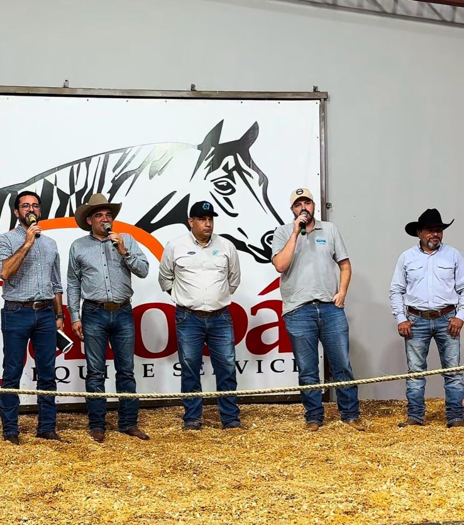 Leilão Jatobá Equine Service bate recorde de faturamento em Mato Grosso do Sul