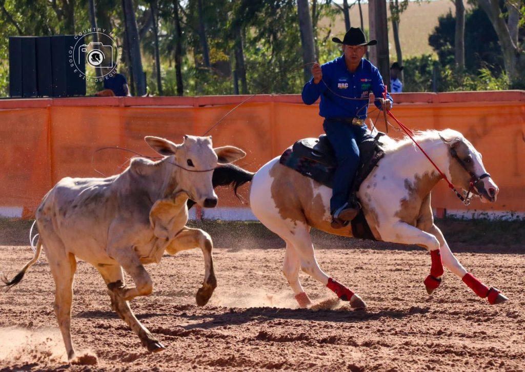 Égua Paint Horse, Valentine Delta Tari, conquista título de Campeã Pré-Futurity de Laço Comprido Técnico 2023 