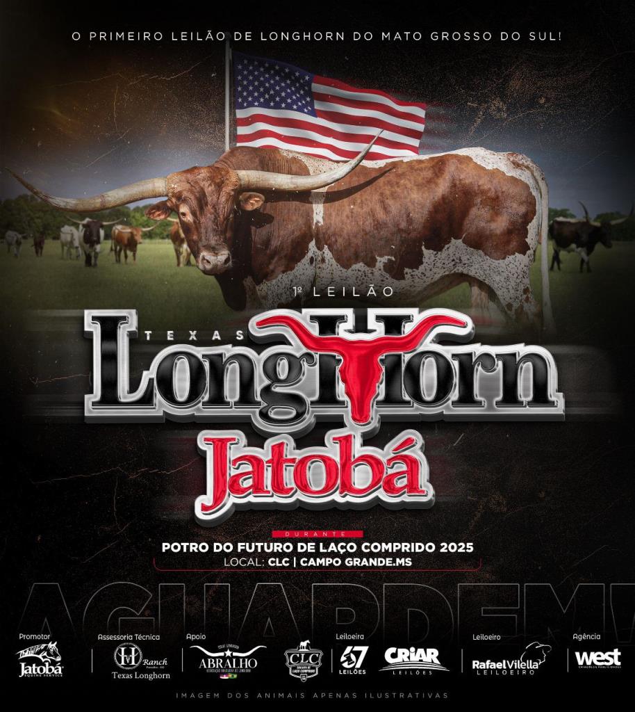 AGUARDEM – VEM AÍ O PRIMEIRO LEILÃO DE GADO TEXAS LONGHORN DO MS LEILÃO LONGHORN JATOBÁ 