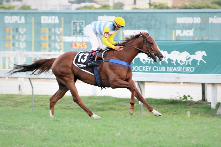 Resultante domina, amplamente, o GP Roger Guedon (G3)