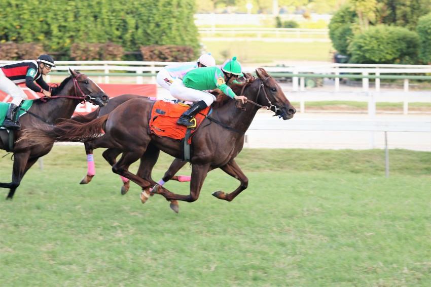 Strategic Spin: atropelada certeira no GP José Buarque de Macedo (G3)